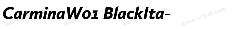 CarminaW01 BlackIta字体转换